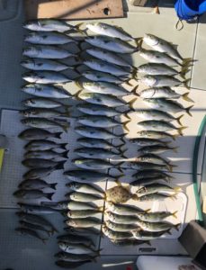 さぶろう丸 釣果