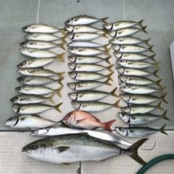 さぶろう丸 釣果