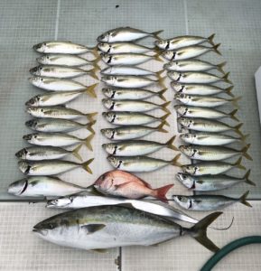 さぶろう丸 釣果