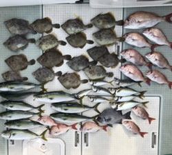 さぶろう丸 釣果