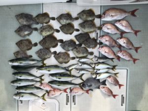 さぶろう丸 釣果