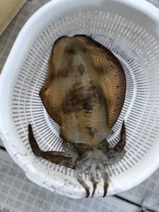 さぶろう丸 釣果