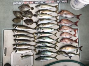 さぶろう丸 釣果