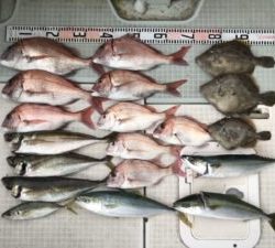 さぶろう丸 釣果