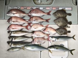 さぶろう丸 釣果