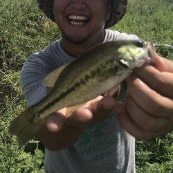 ライトな釣りに最適なトライザ ロプロス！【メガバス（Megabass）トライザ　インプレッション】