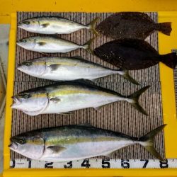 火遠理丸(ほおりまる) 釣果