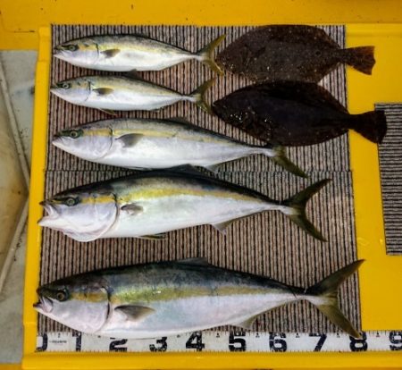 火遠理丸(ほおりまる) 釣果