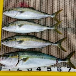 火遠理丸(ほおりまる) 釣果