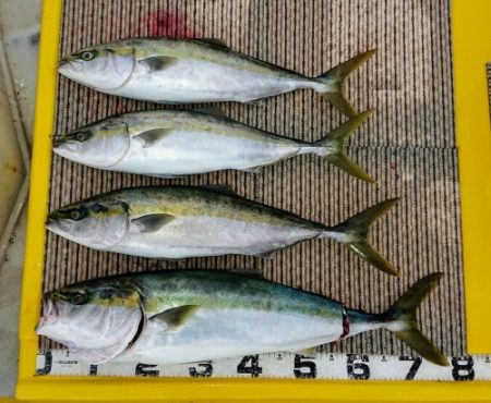 火遠理丸(ほおりまる) 釣果