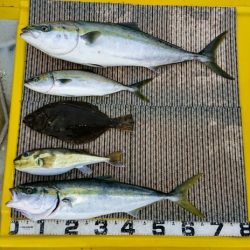 火遠理丸(ほおりまる) 釣果