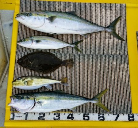 火遠理丸(ほおりまる) 釣果