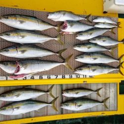 火遠理丸（ほおりまる） 釣果