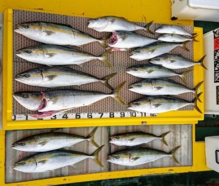 火遠理丸（ほおりまる） 釣果