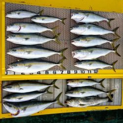 火遠理丸（ほおりまる） 釣果