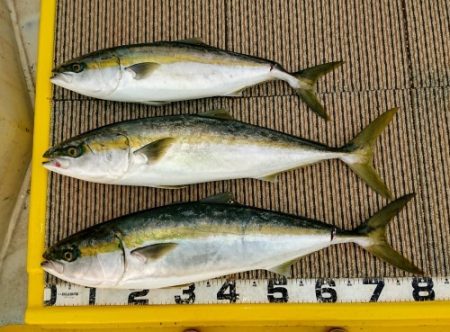 火遠理丸（ほおりまる） 釣果