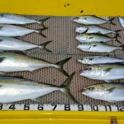 火遠理丸（ほおりまる） 釣果