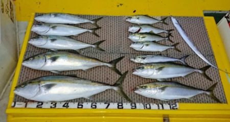 火遠理丸（ほおりまる） 釣果