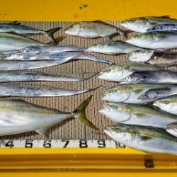 火遠理丸（ほおりまる） 釣果