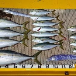 火遠理丸（ほおりまる） 釣果