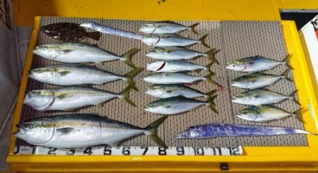 火遠理丸（ほおりまる） 釣果