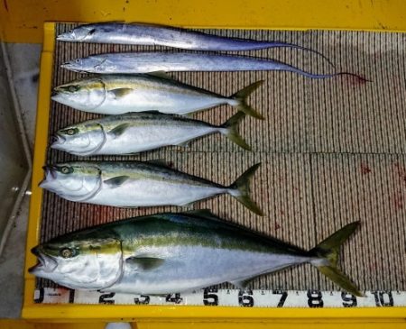 火遠理丸（ほおりまる） 釣果