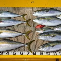 火遠理丸(ほおりまる) 釣果