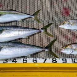 火遠理丸(ほおりまる) 釣果