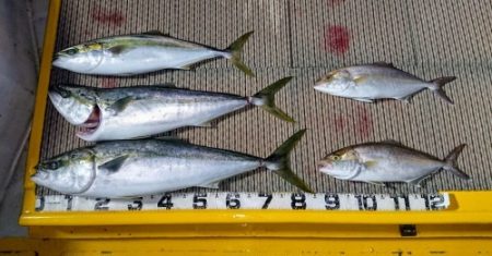 火遠理丸(ほおりまる) 釣果