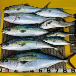 火遠理丸(ほおりまる) 釣果