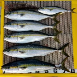 火遠理丸(ほおりまる) 釣果