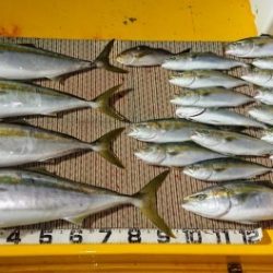 火遠理丸(ほおりまる) 釣果