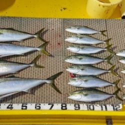 火遠理丸(ほおりまる) 釣果