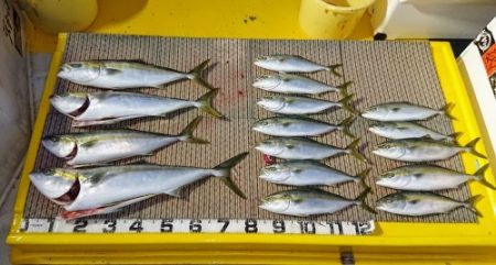 火遠理丸(ほおりまる) 釣果