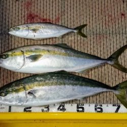 火遠理丸(ほおりまる) 釣果