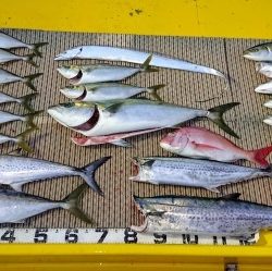 火遠理丸(ほおりまる) 釣果