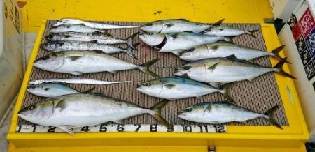 火遠理丸(ほおりまる) 釣果