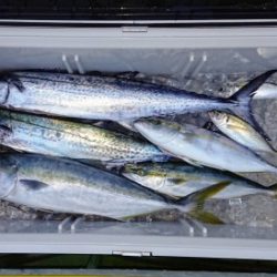 火遠理丸(ほおりまる) 釣果