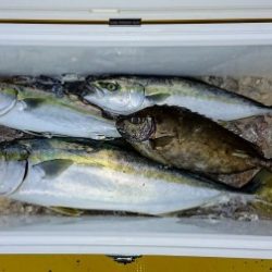 火遠理丸(ほおりまる) 釣果