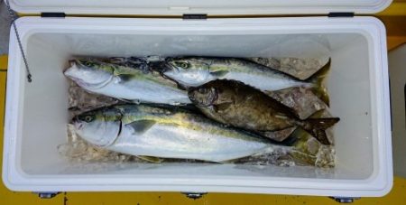 火遠理丸(ほおりまる) 釣果