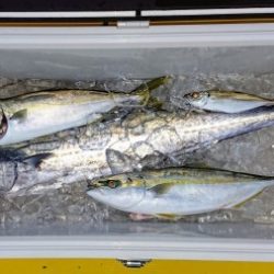 火遠理丸(ほおりまる) 釣果