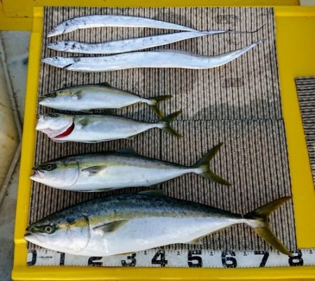 火遠理丸（ほおりまる） 釣果