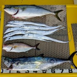 火遠理丸(ほおりまる) 釣果