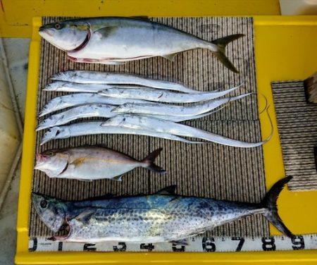 火遠理丸(ほおりまる) 釣果