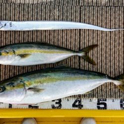 火遠理丸(ほおりまる) 釣果