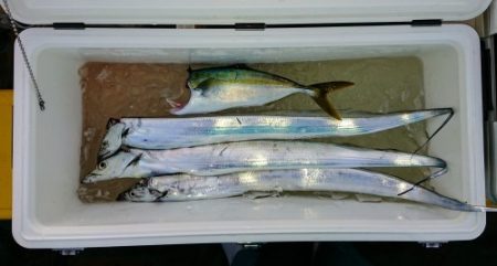 火遠理丸(ほおりまる) 釣果