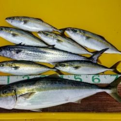 火遠理丸(ほおりまる) 釣果