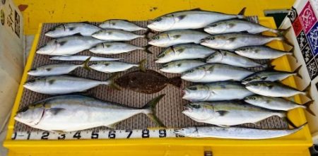 火遠理丸(ほおりまる) 釣果