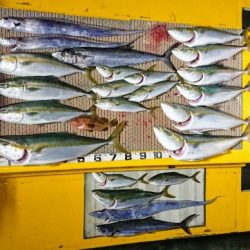 火遠理丸(ほおりまる) 釣果