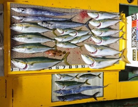 火遠理丸(ほおりまる) 釣果